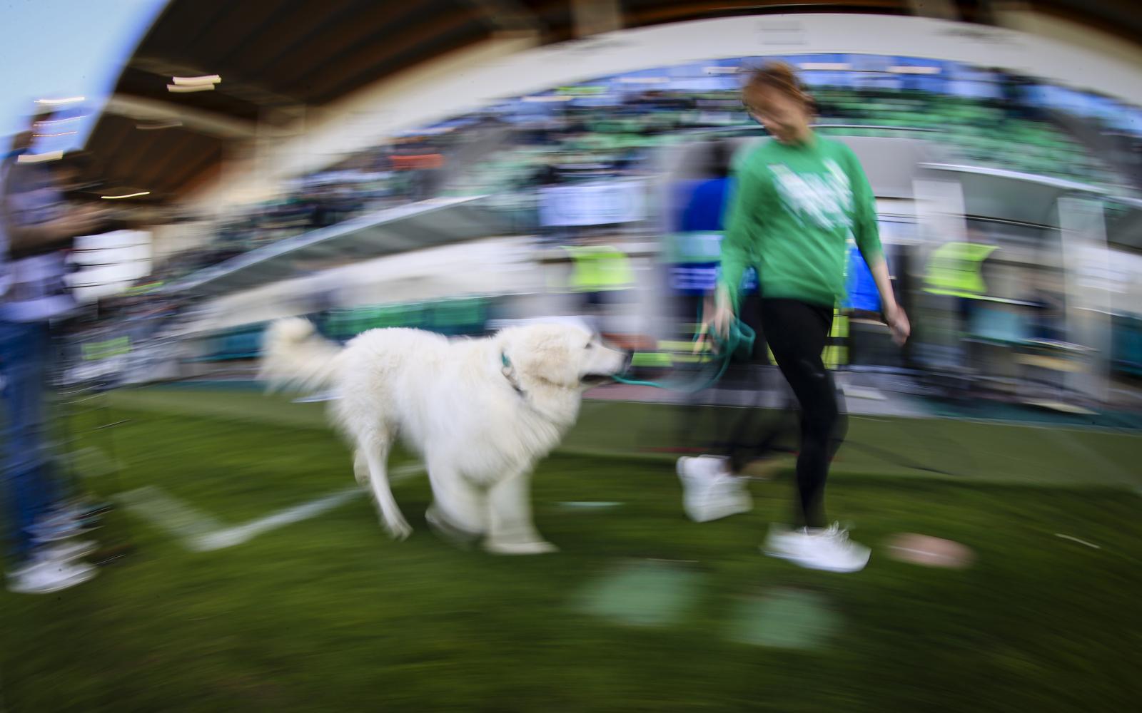 PaksiFC KazincbarcikaFC 11